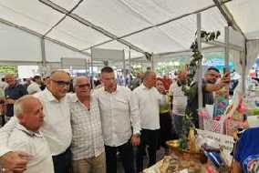 Darko Banjac, Sajam šljive