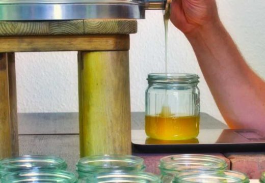 Ova godina izuzetno teška za domaće pčelare: Izvrcani med ne pokriva ni troškove proizvodnje