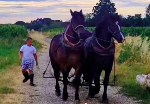 Takmičenje u šest kategorija: Bijeljina domaćin 16. Štraparijade (Foto)