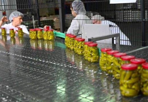 Tegle dopunjavaju povrćem iz uvoza!: Katastrofalna sezona za prehrambene prerađivače