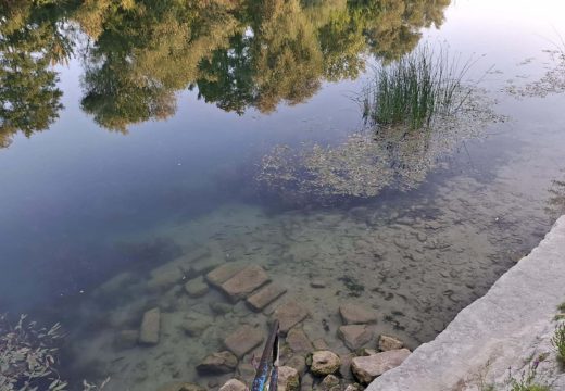 Oglasio se “Green Team” o zagađenju Une: Evidentno je da postoji nečija krivična odgovornost