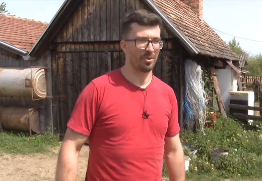 Kad makaze zamijene kablove: Dejan je majstor za šišanje ovaca (Video)