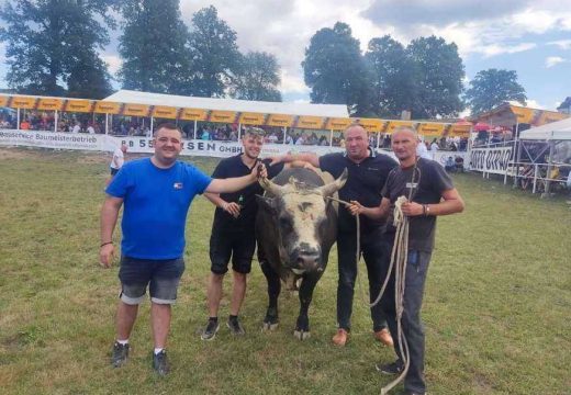 Cifre od kojih zastaje dah: Bik pobjednik Kočićevog zbora prodat za sumu za koju se može kupiti stan, ali to je tek početak priče