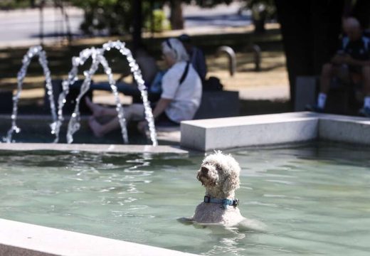 Ljeto u svojim bojama: Tokom dana pretežno sunčano i toplije