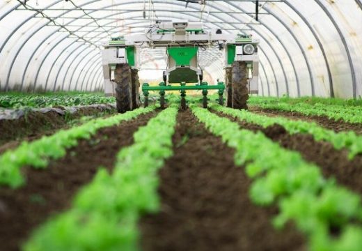 Poljoprivreda: Isplaćeno 1,1 milion KM za podsticaje