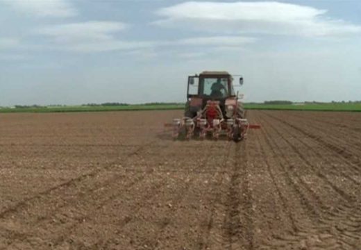 Lalić: Nakon završenog proizvodnog ciklusa realizujemo isplate prema poljoprivrednicima (Video)