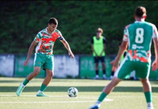 Miljan Pantić: Semberac, zmajček, zmajić…