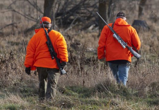 Šta se krije u šumama RS: Više lovaca nego medvjeda, vukova, jelena i lisica (Foto)
