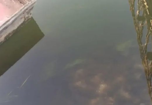 Potvrđeno: Uzorci vode iz Une u skladu sa dozvoljenim parametrima