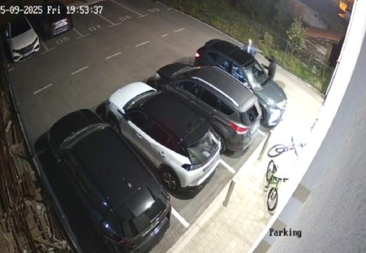 “Snimak koji govori više od riječi”: Branislav Borenović objavio snimak napada (Video)