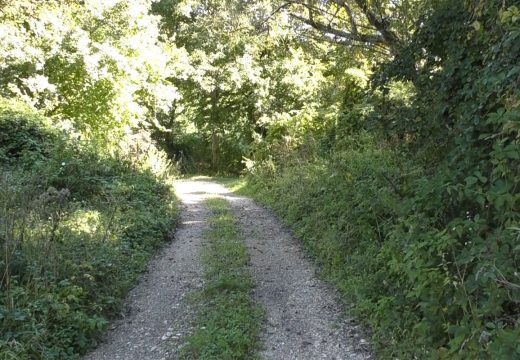 Skratio bi se put za više od 30 km: Uskoro novim putem od Sanskog Mosta do Banjaluke?