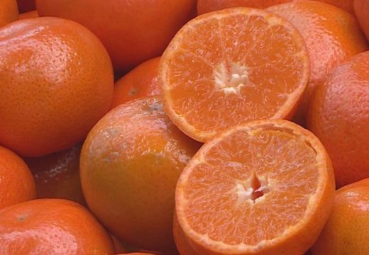 Sumnja se na opasne pesticide: Inspekcija provjerava uvoz grožđa, mandarina i breskvi na tržište BiH