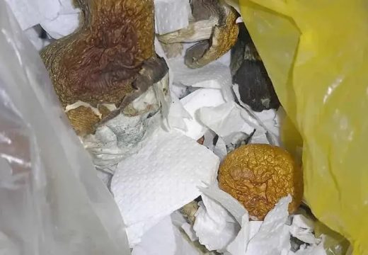 Rijetko se oduzimaju, ali su prisutne na tržištu: Nova pošast stigla u Srpsku!