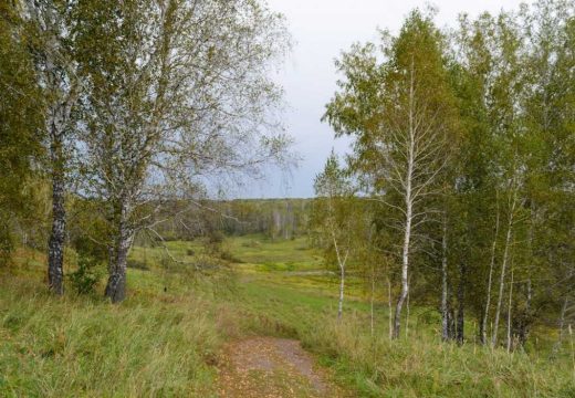 Meteorolozi objavili prognozu za naredne dane: Šta nam donosi septembar?