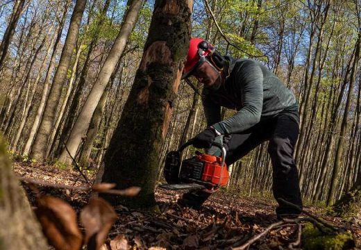 RS: Otpremnine u „Šumama“ do 37.000 KM