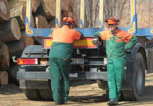 “Šume RS” u operaciji stimulativne otpremnine: Evo koliko će hiljada maraka dobiti šumari koji daju otkaz ili odu u penziju