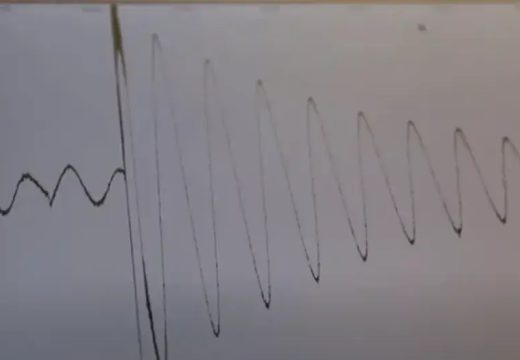 Region: Zemljotres u Srbiji