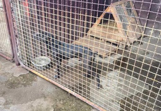 Nastavak akcije “Sambo“: Evo šta je pronađeno prilikom pretresa u Brodu (Foto)