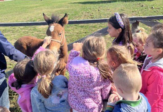 Nova atrakcija u izletištu Čičino Sokače: Ždrijebe Pikolina oduševilo najmlađe posjetioce (Foto)