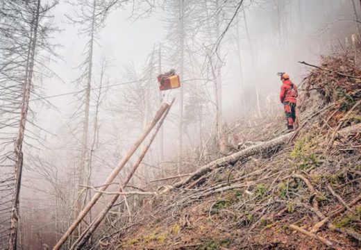 Austrija: Ukradena mašina teška 690 kilograma “osvanula” u BiH