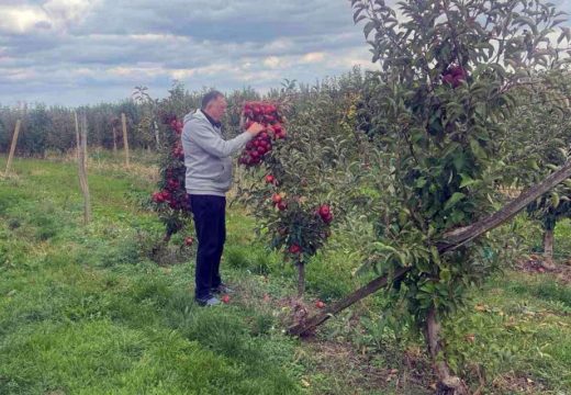 Dodik obišao voćnjak: Rod jabuke prepolovljen (Video)