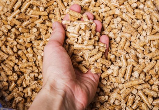 Andrić: Pelet u posljednih nekoliko dana poskupio