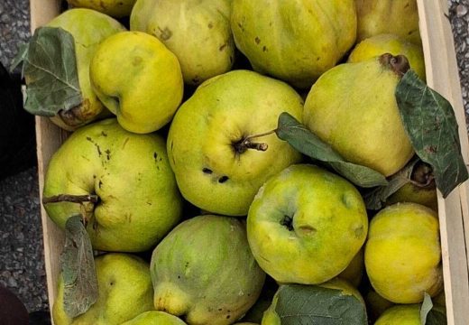 Bijeljina: Stigle dunje na pijacu