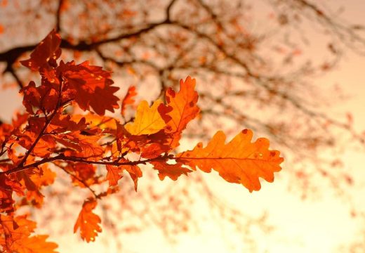 Prognoza: Najtopliji dan sedmice u četvrtak, potom novo naoblačenje