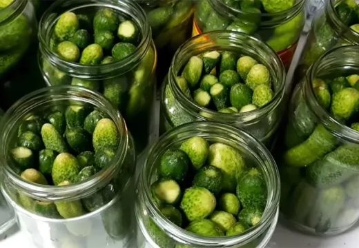 Skandal trese Sloveniju: Paracetamol u kiselim krastavcima