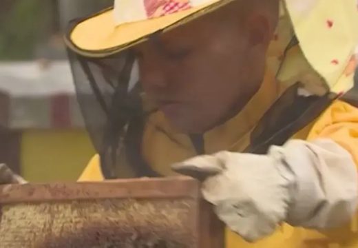 Mali pčelar Dragan: Moj med je najslađi