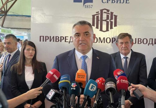 Minić: Elektroprivreda Srpske je gigant koji je posrnuo