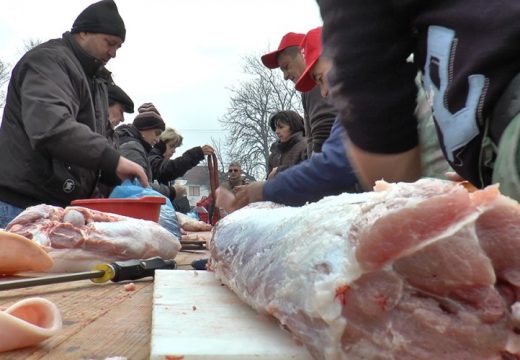 Koliko koštaju tovljenici: Kreće sezona krmokolja, evo zašto se više vole polutke