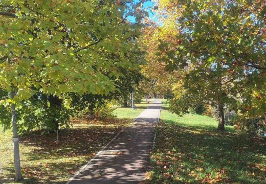 Temperatura do 21 stepen: Danas pretežno sunčano i toplije