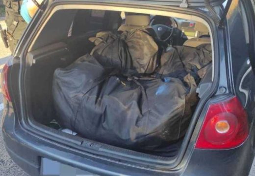 Akcija “Uskok 3 “: Pronađena velika količina skanka, uhapšene četiri osobe