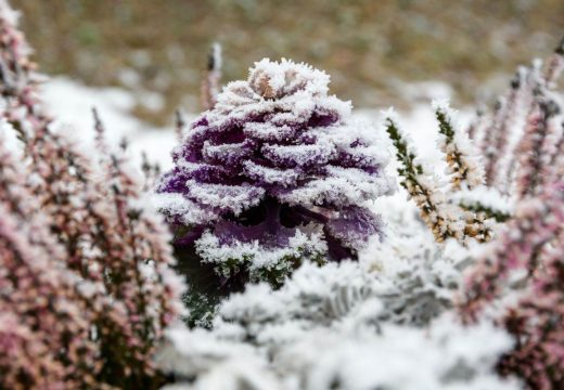 Prognoza: Jutro hladno, tokom dana toplije uz vjetar