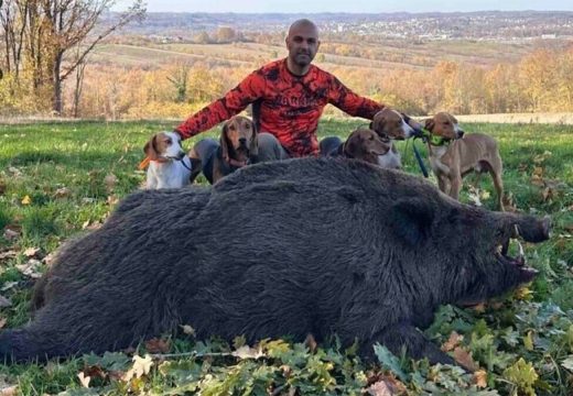 Pao još jedan kapitalac u BiH: Lovac oborio vlastiti rekord