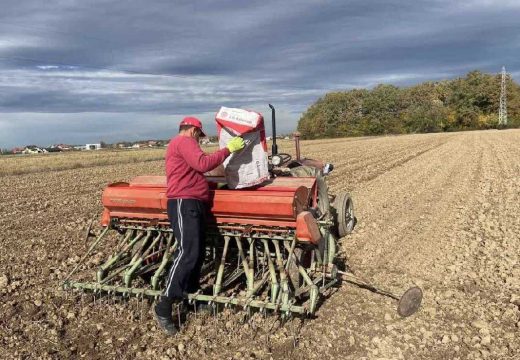Sjetva pšenice u Semberiji: Lijepo vrijeme poslužilo poljoprivrednike