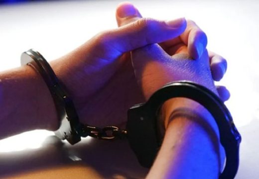 Razbijena kriminalna grupa u komšiluku: Oštetili budžet za preko tri miliona evra