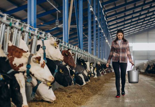 Arsenić upozorava: Podrška mljekarima ključna za opstanak