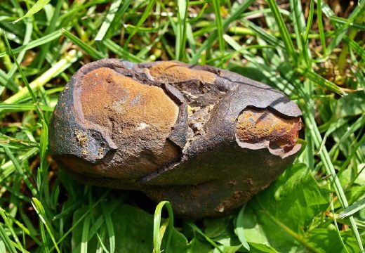 Srpska: Meteoriti pali kod Mrkonjić Grada