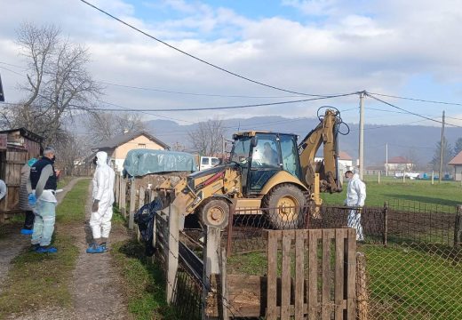 BiH: Eutanazirano cijelo stado ovaca zbog bruceloze