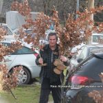 Kako Božić spaja svijet živih i mrtvih: Etnolog o starom srpskom običaju koji je nalagao da se badnjak ne dira golim rukama