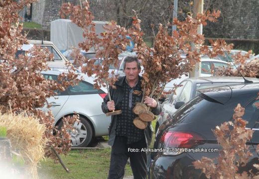 Kako Božić spaja svijet živih i mrtvih: Etnolog o starom srpskom običaju koji je nalagao da se badnjak ne dira golim rukama