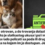 Kućni ljubimci: Veterinari upozorili na štetnost antifriza (Foto)