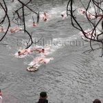 Vjera, zajedništvo i praznik radosti: Zašto se na Bogojavljenje pliva u ledenoj rijeci za časni krst?