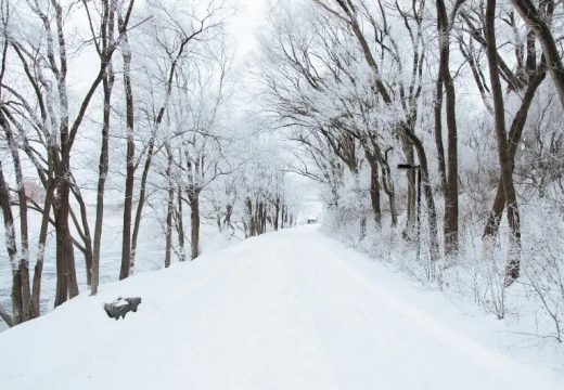 Čubrilo izbacio prognozu i zvuči gore nego što je RHMZ najavio: Ne nadajte se otopljenju pre ovog datuma (Foto)
