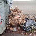 Šta se radi sa badnjakom koji ostane do Malog Božića: Nikako ga ne bacajte!