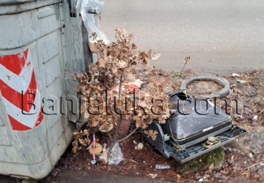 Šta se radi sa badnjakom koji ostane do Malog Božića: Nikako ga ne bacajte!