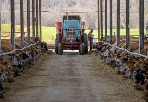 Ministarstvo: Tvrdnje o nedostatku dijaloga sa mljekarima nisu tačne
