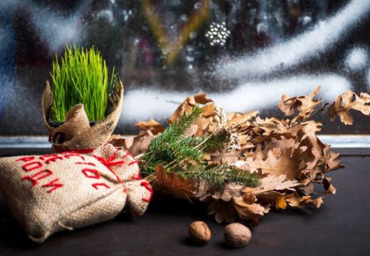 Praznici: Gdje trebate da stavite božićnu pšenicu drugog dana praznika?